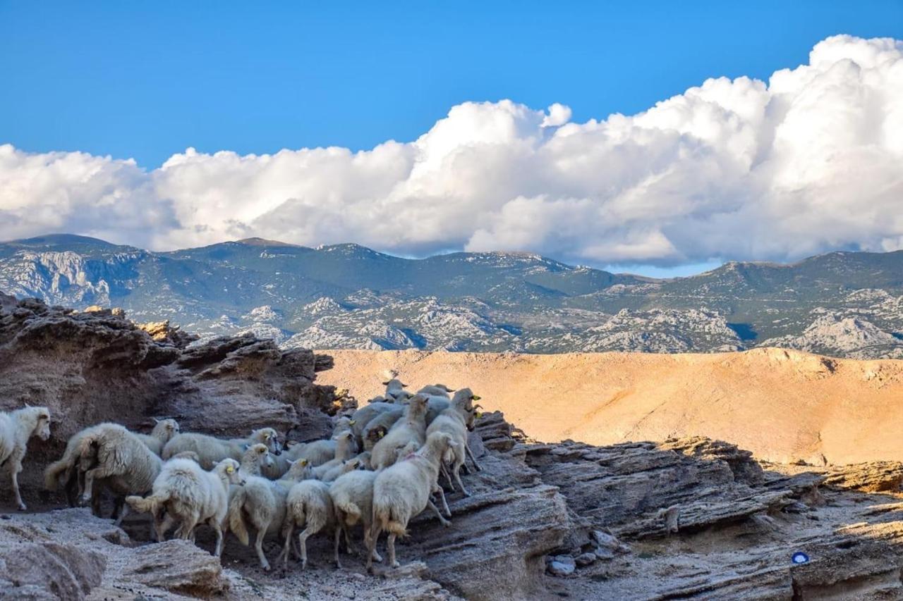 4Rest Vila Pag Town Dış mekan fotoğraf