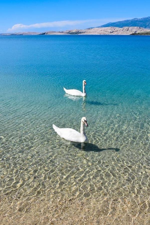 4Rest Vila Pag Town Dış mekan fotoğraf